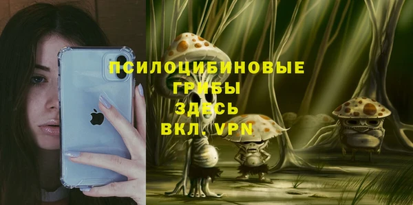 соль ск Алексин