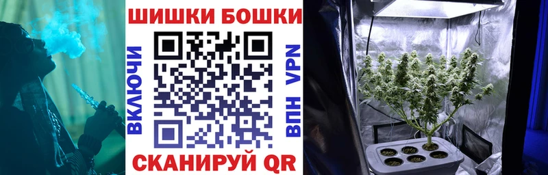 сайты даркнета телеграм  Бобров  Шишки марихуана конопля 